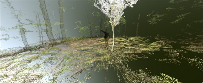 VIRTUAL FOREST