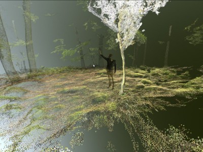 VIRTUAL FOREST